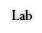 Lab